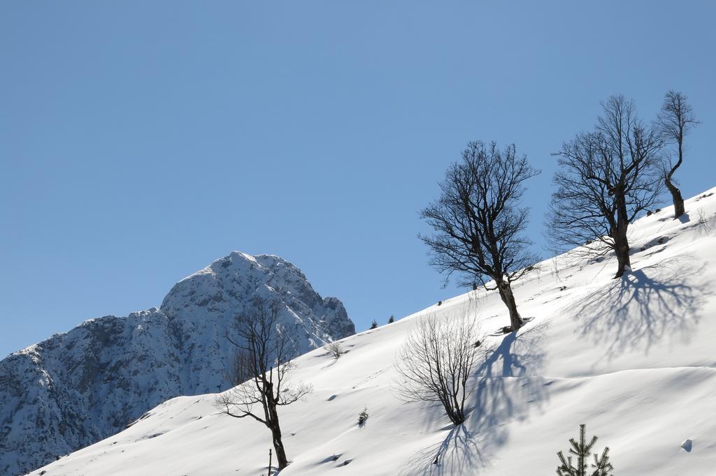 Ferienwohnung Kainer Zell am Ziller Εξωτερικό φωτογραφία